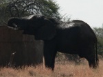 makutsi__49_.jpg
