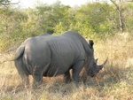 makutsi__59_.jpg