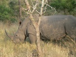 makutsi__62_.jpg